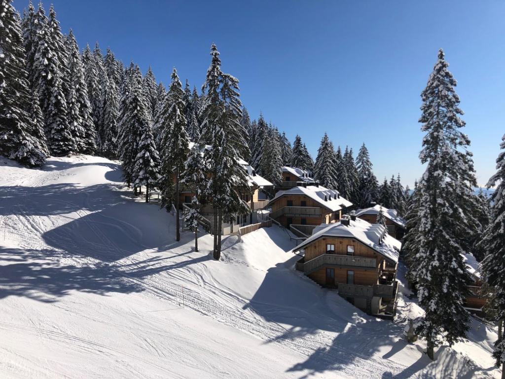 莫济列Primorka Golte的雪地中的滑雪小屋,有雪覆盖的树木