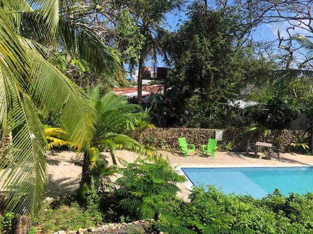 圣安德烈斯Casona La Carolina的一个带两把绿色椅子和树木的游泳池
