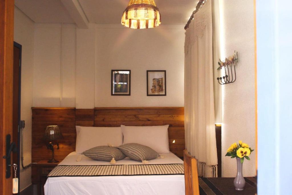 贝洛奥里藏特Pousada Caminhos de Minas Belo Horizonte的一间卧室配有一张床和一个吊灯