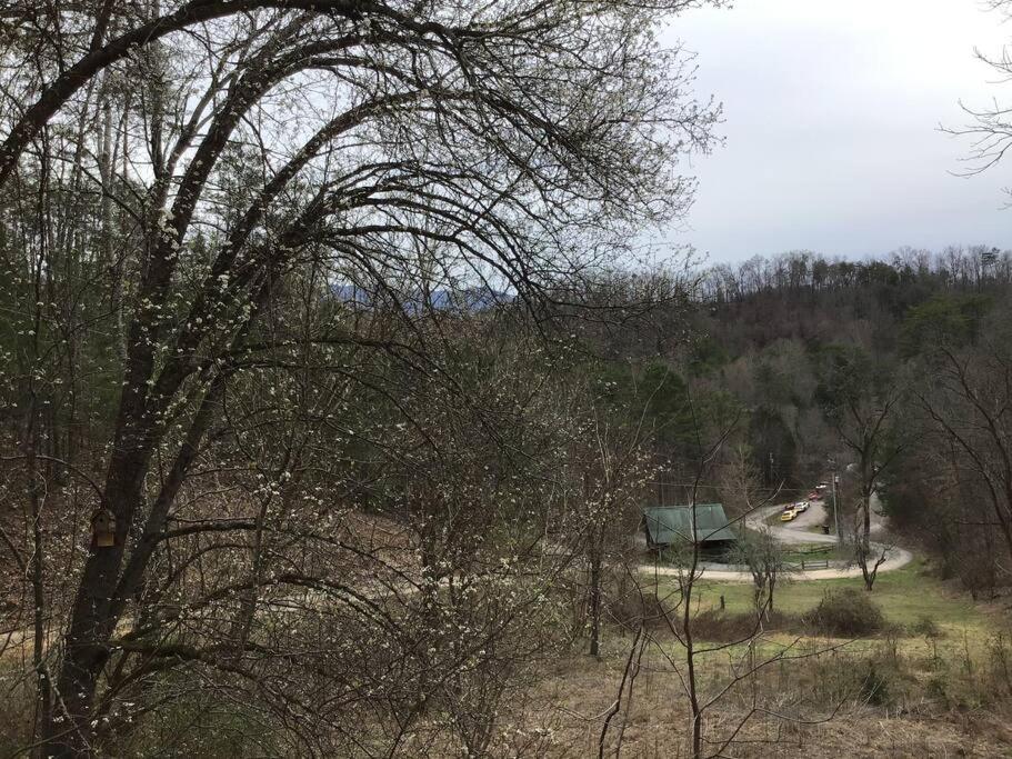 度假屋周边自然景观