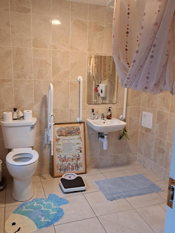 基尔肯尼Budget Double Room in City的一间带卫生间和水槽的浴室