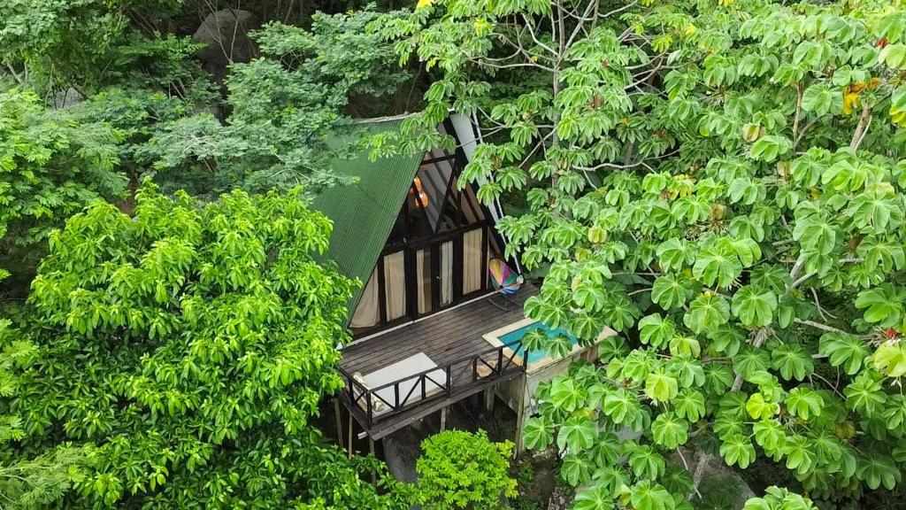 埃尔扎伊诺Lodge Cacao的树屋的顶部景色