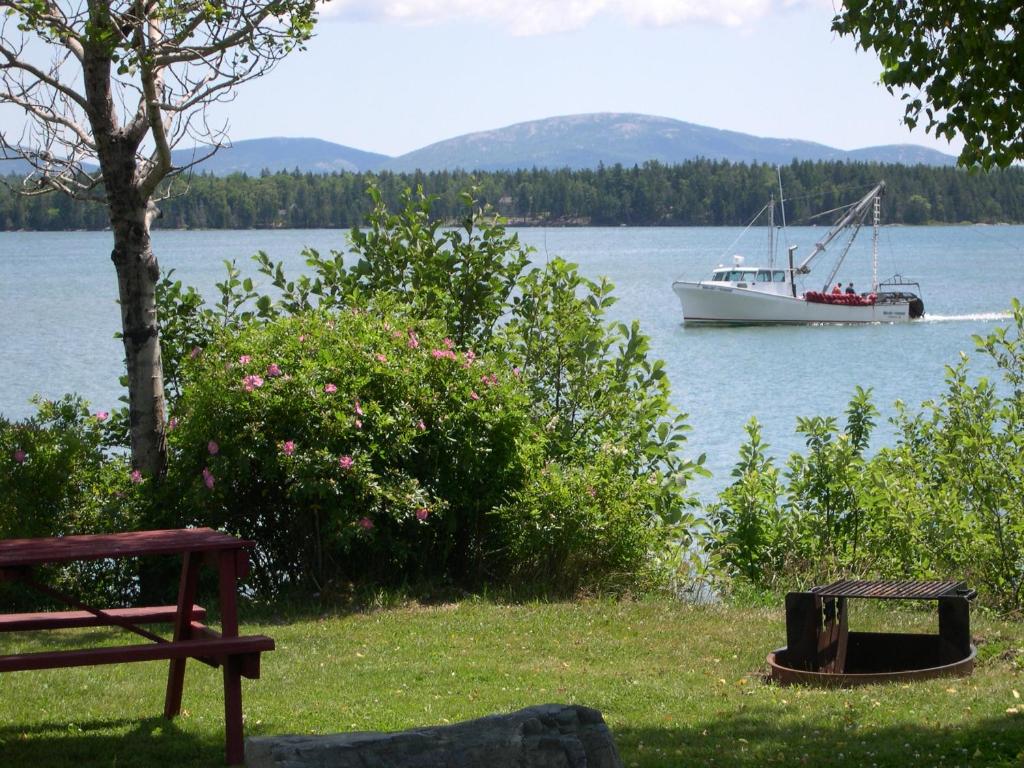 特伦顿Narrows Too Camping Resort Cottage 11的水面上的船,有树和长凳