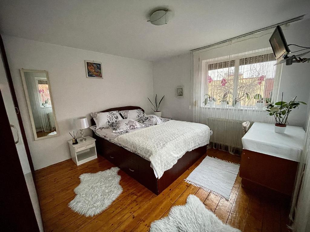 克拉约瓦Ada-Ini House的一间卧室配有一张床,窗户铺有地毯。