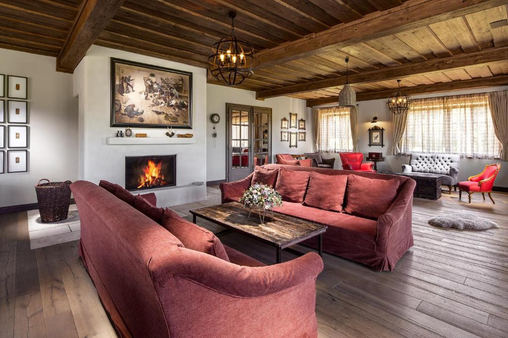 SněžnéStatek Blatiny的带沙发和壁炉的客厅