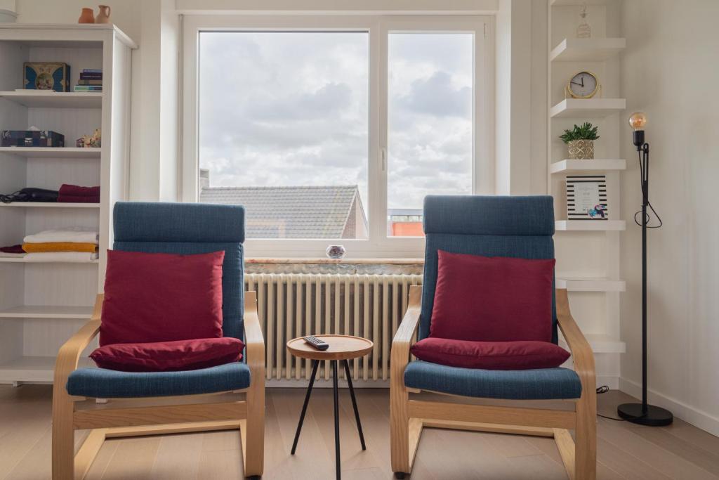 屈尔内Gasthuis 20 verdiep 2的窗户前的两把椅子和红色枕头