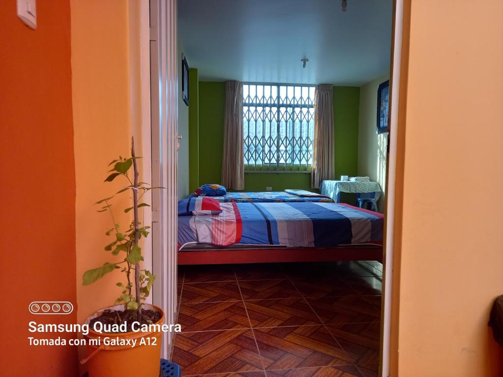 特鲁希略Casa Hospedaje San Miguel的一间设有床铺的卧室,位于一个拥有绿色墙壁的房间