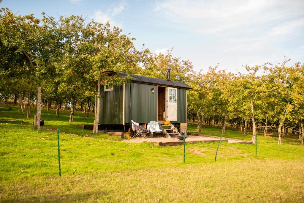 Pen y ClawddHarrys Hideout - Shepherd's Huts at Harrys Cottages的绿棚在田间中间