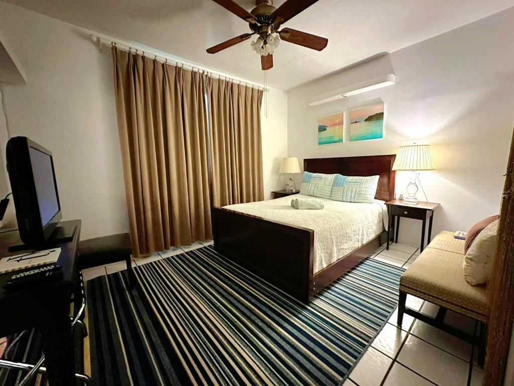 迈阿密A Peaceful Stay In Miami的一间卧室配有一张床、一台电视和一张沙发
