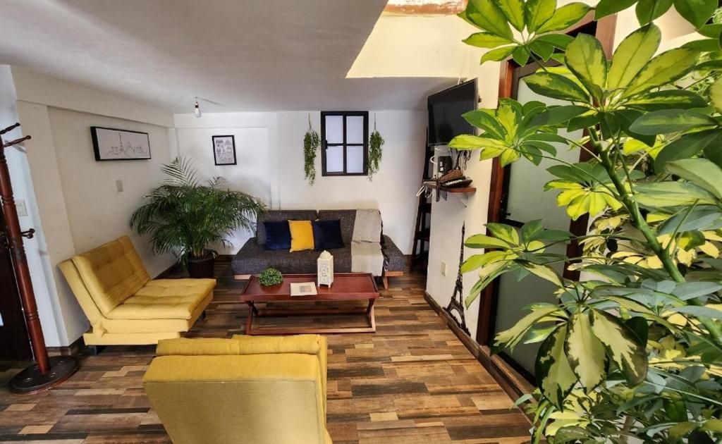 萨卡特卡斯depa #5 recién remodelado en planta alta的带沙发和一些植物的客厅