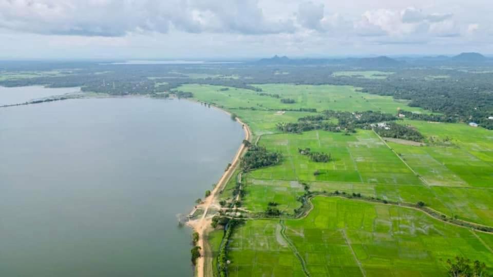 蒂瑟默哈拉默Green Lake的享有湖岸线的空中景致