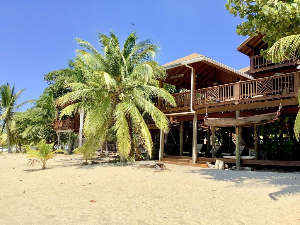 桑迪湾Reef Beach House - 2 Bedrooms and studio的海滩上一座建筑前的棕榈树