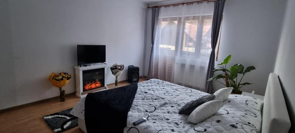 锡纳亚La Simo的一间卧室配有一张床、一台电视和一个壁炉