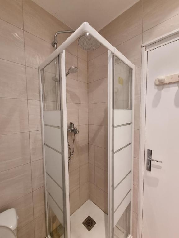 尼斯尼斯中心梅德森公寓的浴室里设有玻璃门淋浴
