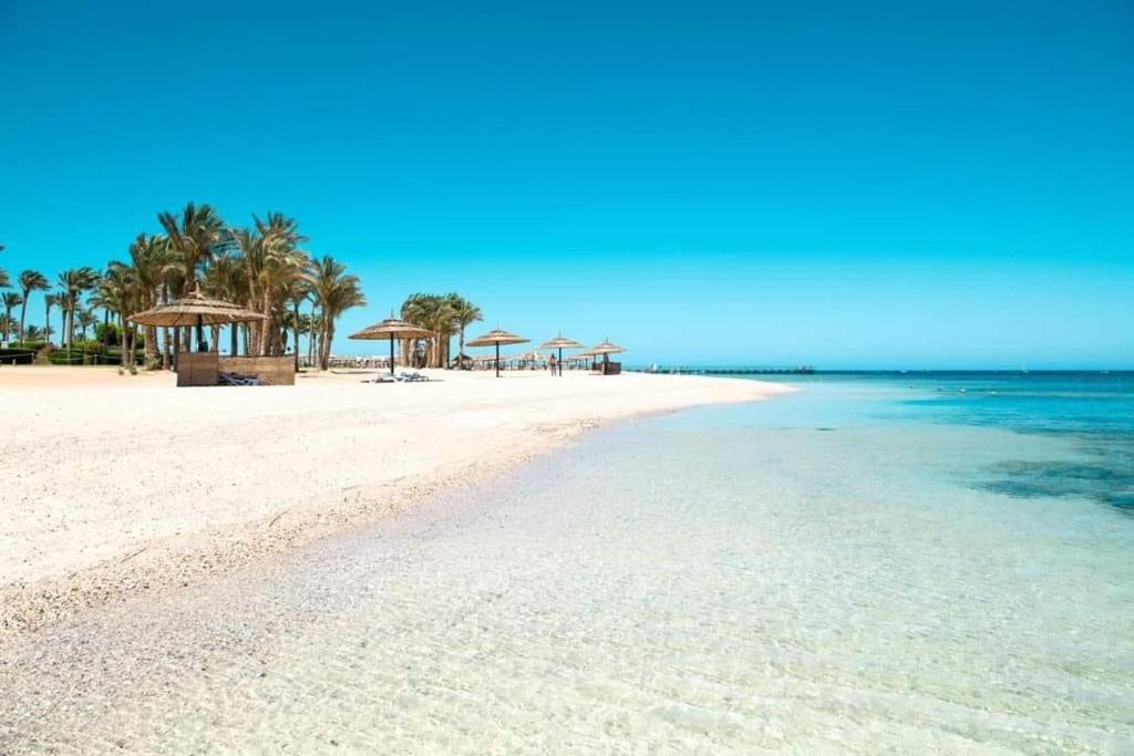 加利布港Marina residence Chalet port ghalib的沙滩上种有树木和遮阳伞