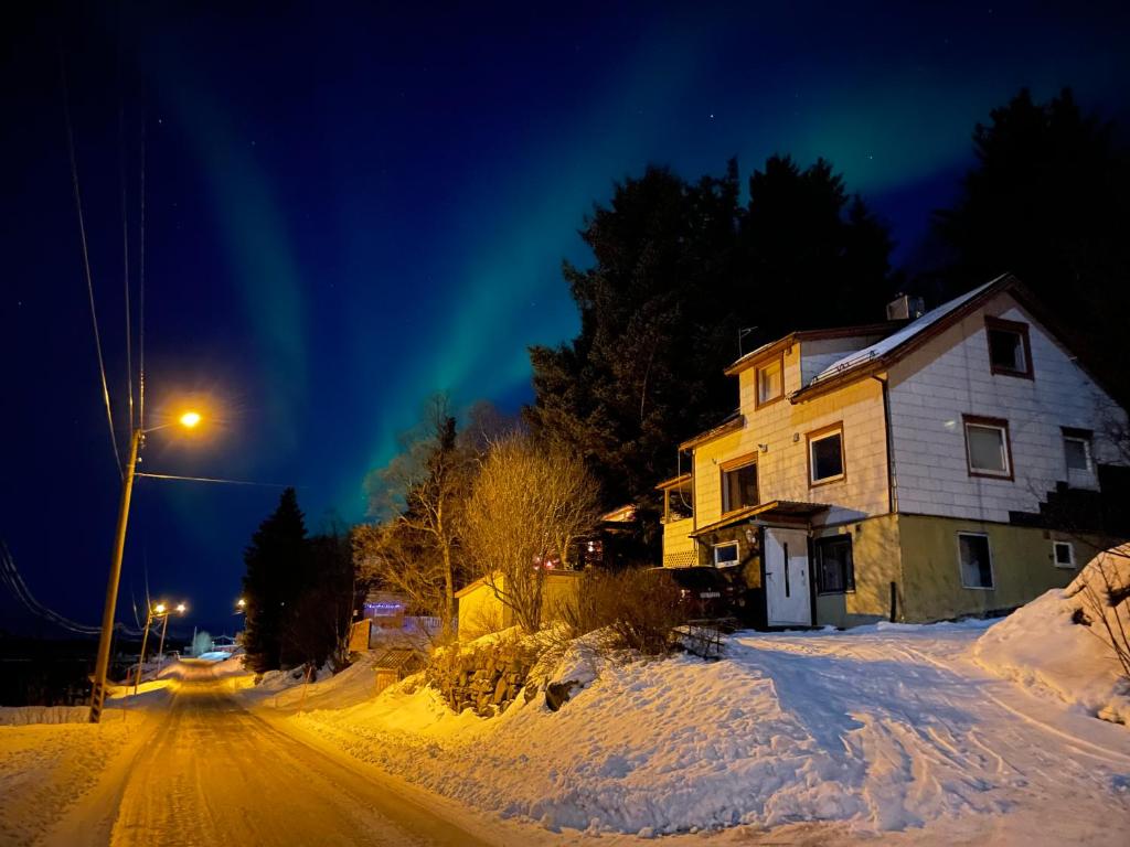 SkalandSenja, Skaland apartment的夜晚在雪覆盖的街道上的房子