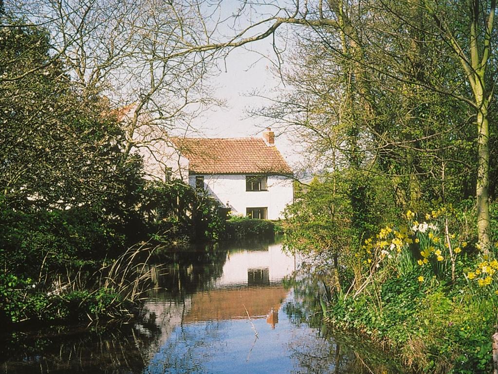 BanwellMaxmills Cottage - E1852的河中树木的房屋