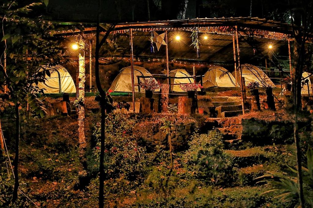 钦纳卡纳Spies Munnar Camping的一群晚上在花园里的圆顶