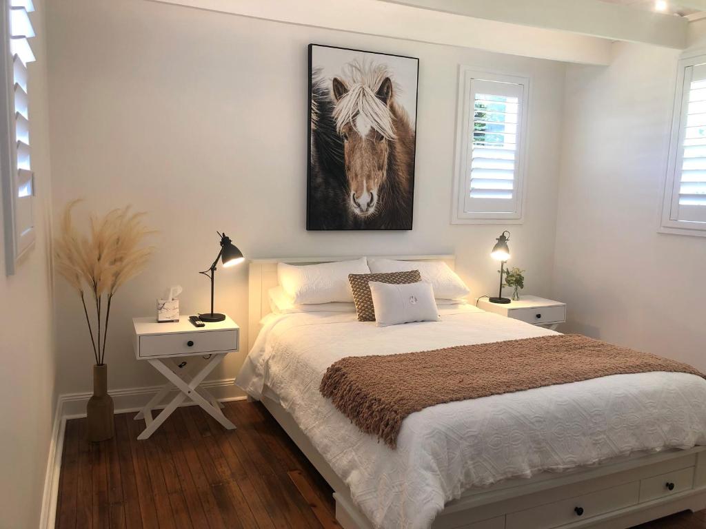 阿米代尔The Stables的一间卧室,配有一张带马匹照片的床