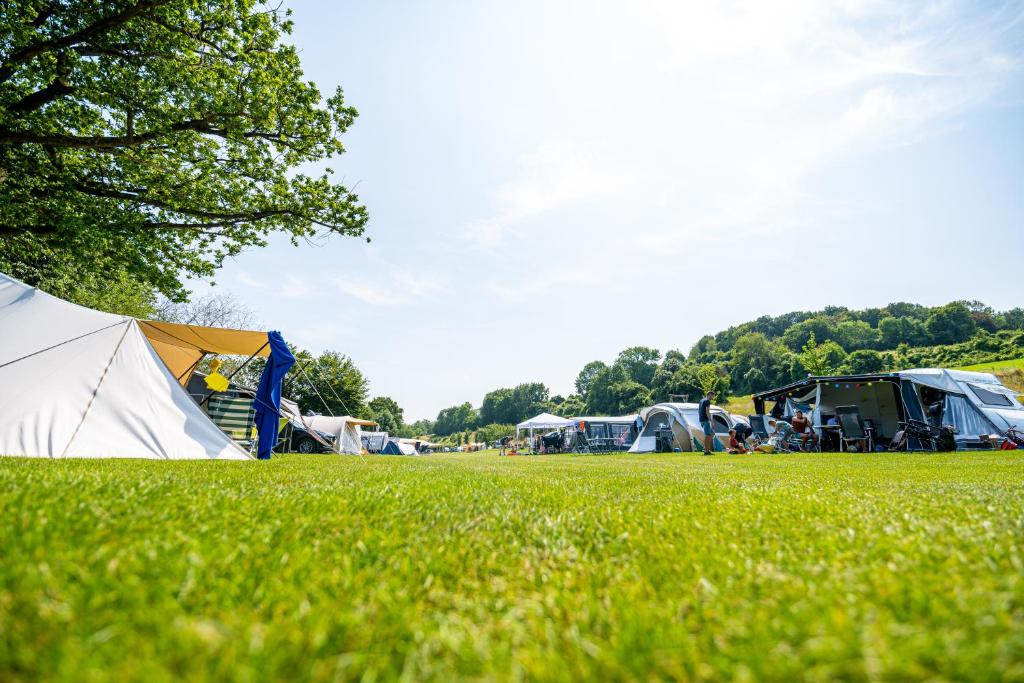 斯欣奥普赫尔Vakantiepark Vinkenhof的草场上的一组帐篷