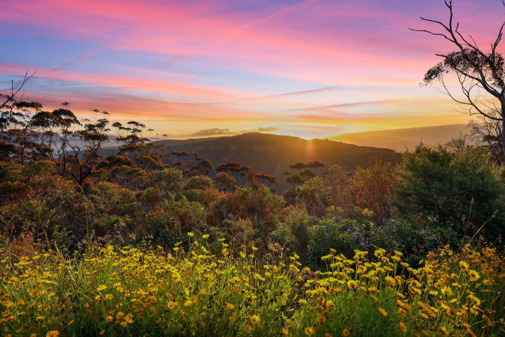 肯图巴Cliff Haven Retreat的山中一片花丛的日落