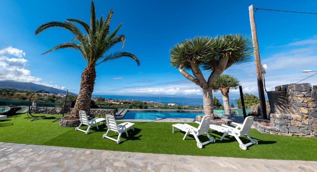 拉奥罗塔瓦Estancia Julieta的游泳池旁的一组椅子和棕榈树