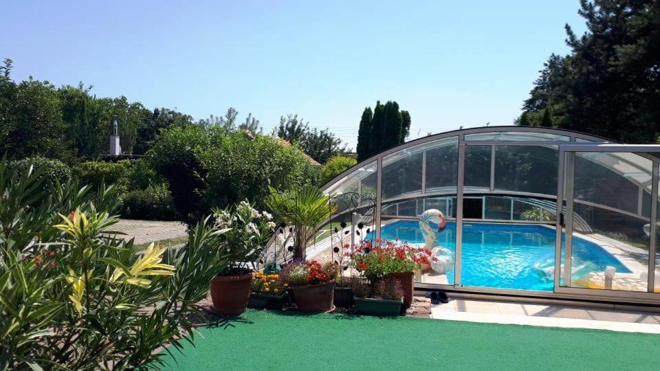 鲍洛通塞派兹德Fülöp Kisház的温室和花园内的游泳池