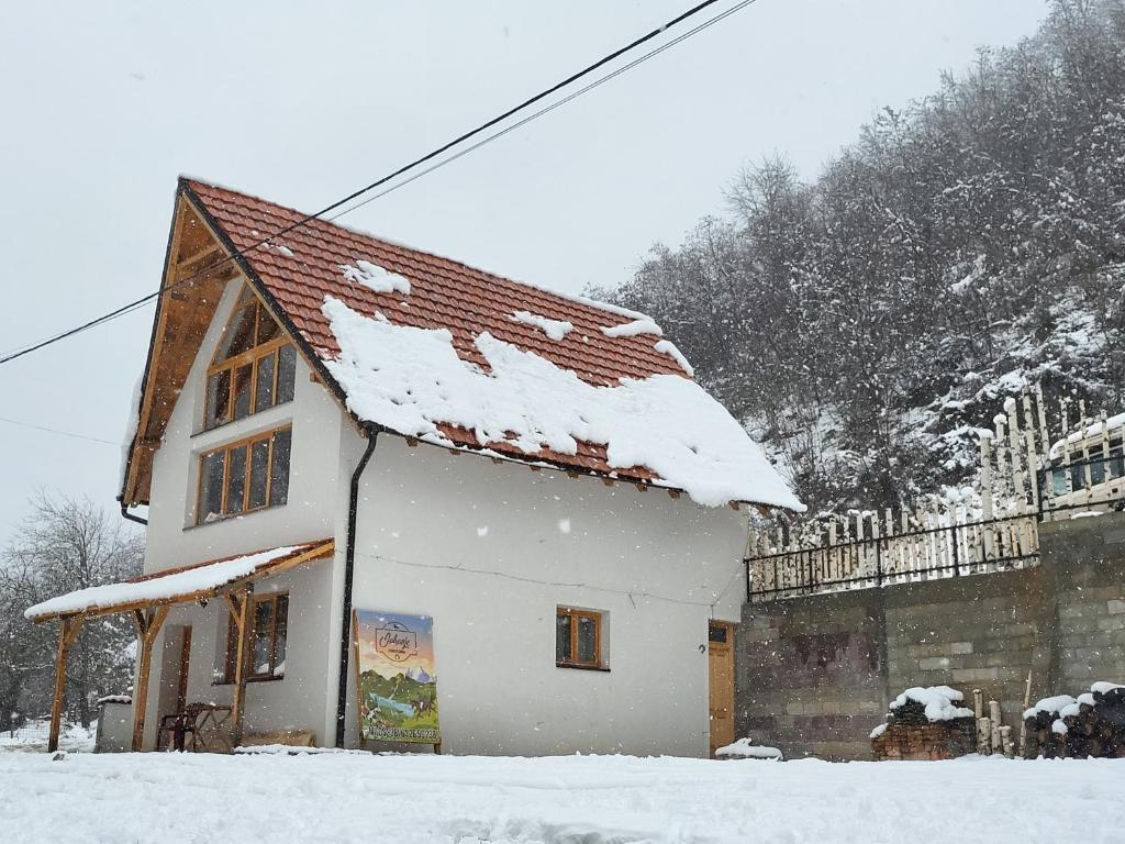 Crni VrhAntić apartmani Stara planina的屋顶上白雪的建筑