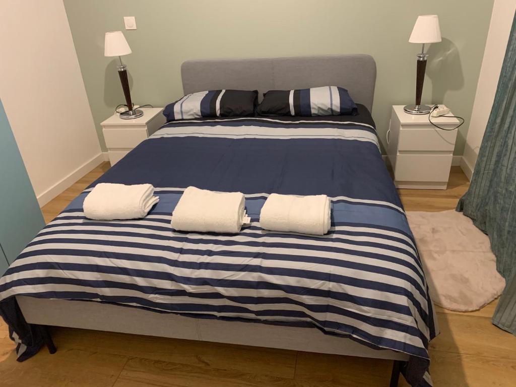 帕艾维坡斯特Appartement T2 Paray vieille poste的一张蓝色和白色的床,配有两个枕头