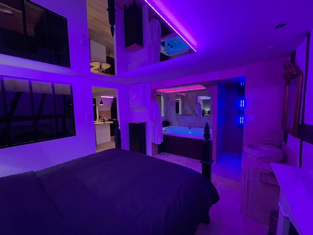 鲁昂Le Jacuzzi的紫色卧室配有一张床和一个浴缸