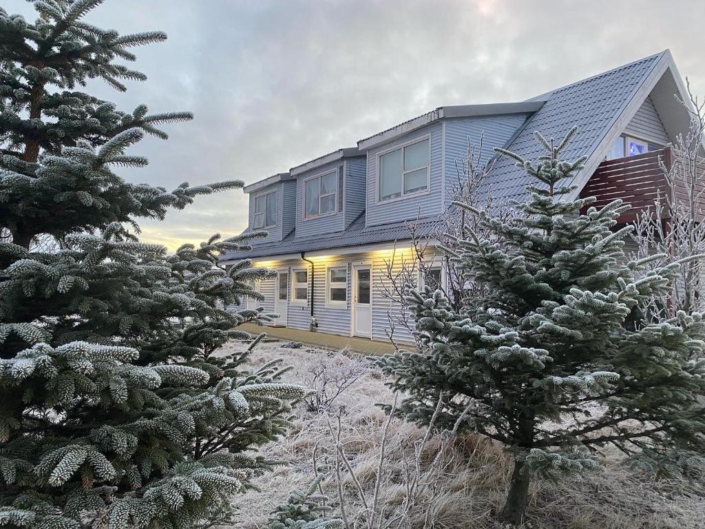 沃加尔Motel Arctic Wind的前面有两棵圣诞树的房子