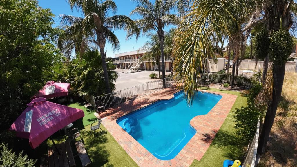 莫阿马莫亚马汽车旅馆的享有棕榈树游泳池的顶部景致