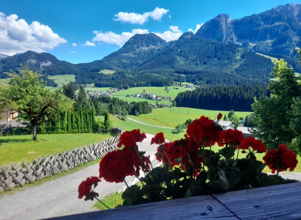 阿布特瑙Sonnleit'n Zimmer的享有山谷的红色花卉和山脉美景
