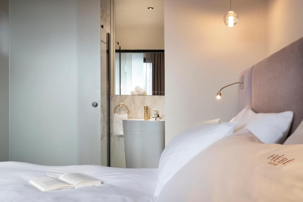 安锡Hébé Hotel的卧室配有白色的床和水槽