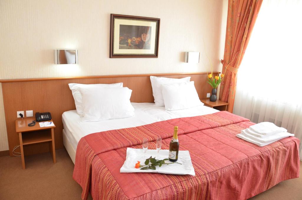 斯科普里贝斯特韦斯特贝尔维尤酒店的酒店客房,配有一张带一瓶香槟的床