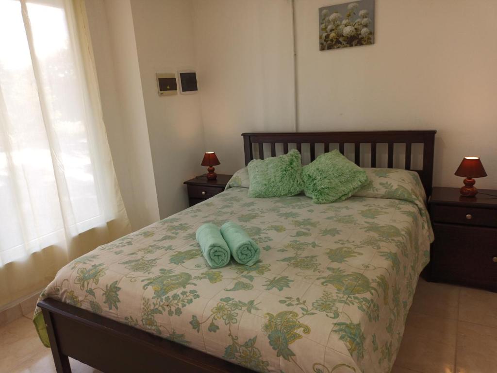 萨帕拉Bethel Alojamiento的一间卧室配有一张带两个绿色枕头的床
