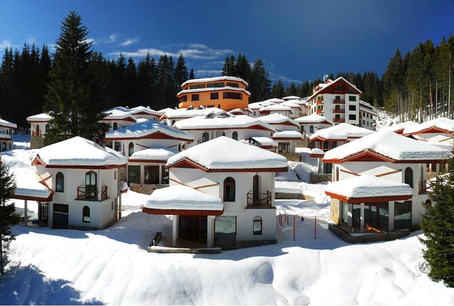 潘波洛沃Ski Chalets at Pamporovo - an affordable village holiday for families or groups的雪覆盖的一群房子