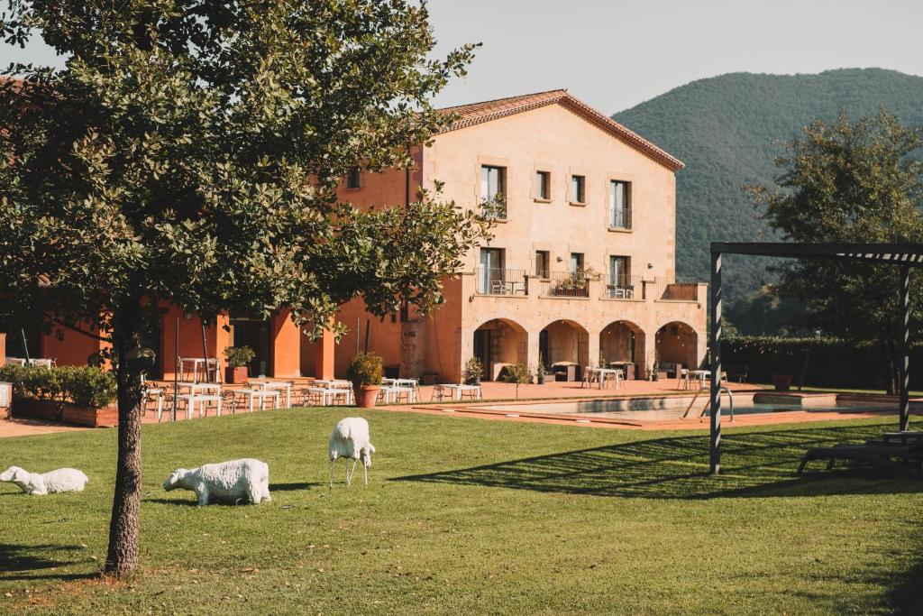 朱内塔斯瓦尔德巴斯酒店的一座建筑物前面的草丛中放牧了三只羊