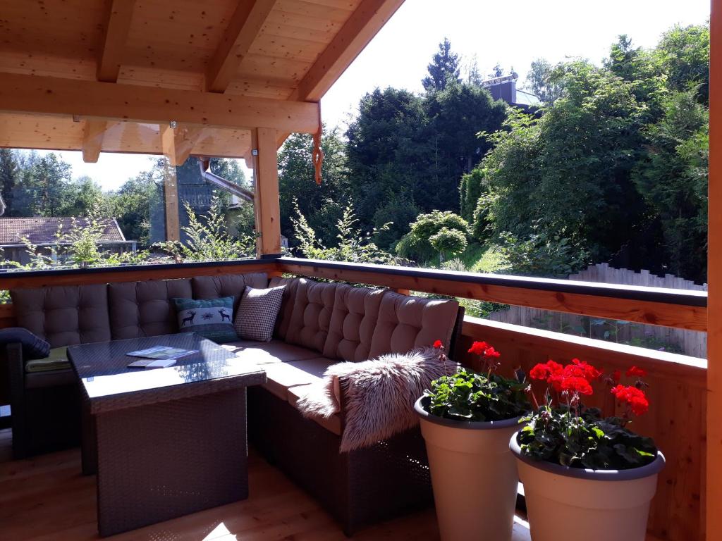 萨菲登安斯泰内嫩米尔Chalet Sisi的一个带沙发和两株盆栽植物的庭院