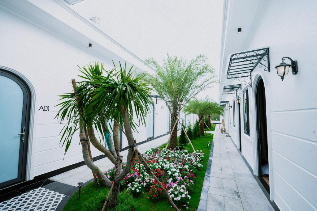 永隆VÂN TRANG GARDEN HOTEL 2的一条白色建筑的走廊,里面种有棕榈树和鲜花