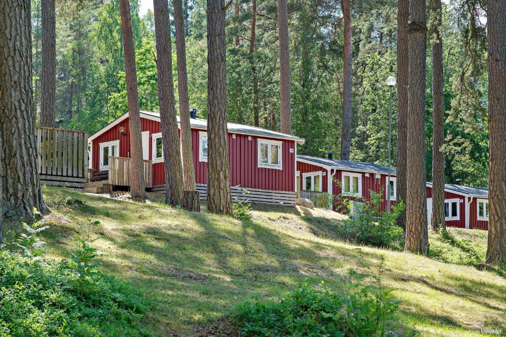科尔莫登First Camp Kolmården-Norrköping的森林中一排红白小屋