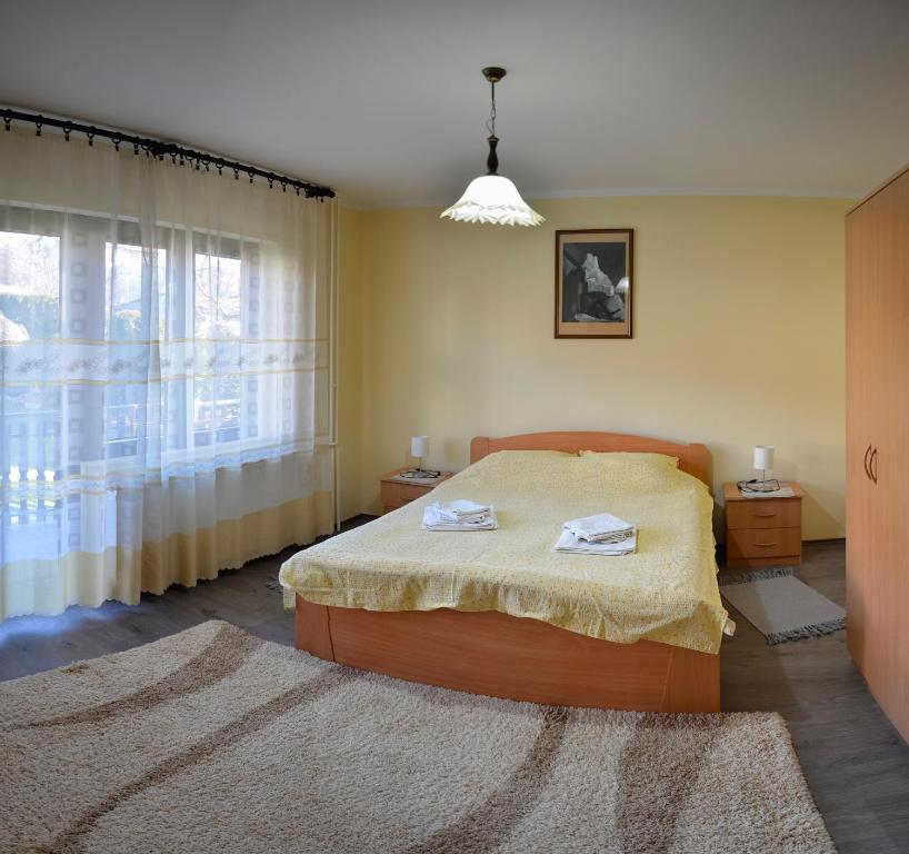 索科矿泉村Apartmani Janja的一间卧室设有一张床和一个窗口