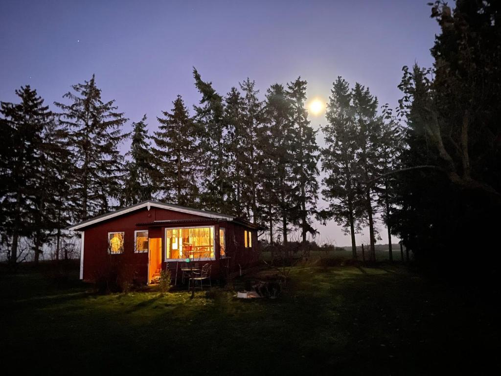 HohenbollentinLandhaus mit Pool, Bungalow in der Natur的森林中的一个夜间小屋