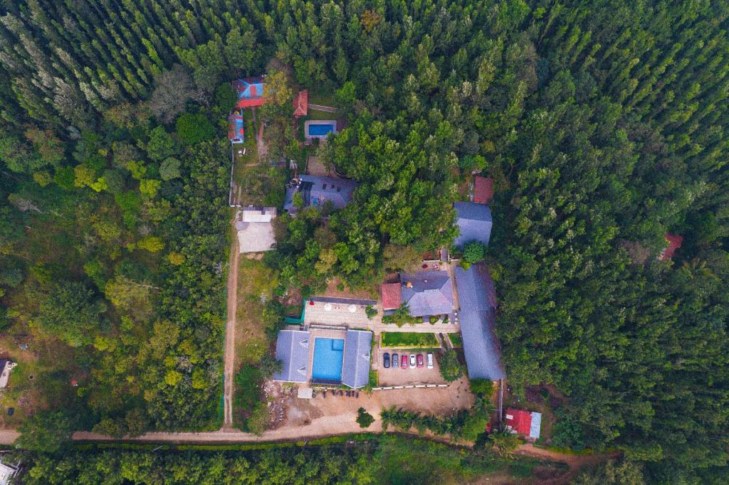 奇克马格尔The Spectrum Resort - Chikmagalur的森林中房屋的空中景观