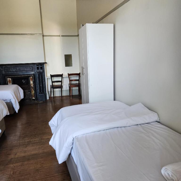 彼得马里茨堡Msunduzi River View backpackers的一间卧室设有两张床和一个壁炉