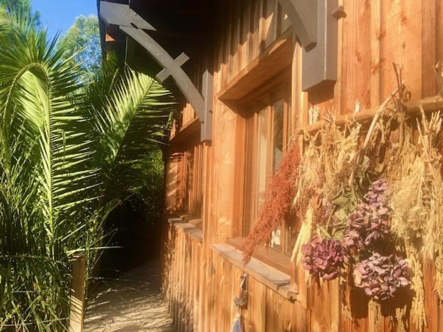 雷日卡普费雷Cabane Chic au Cap Ferret的花朵边的建筑