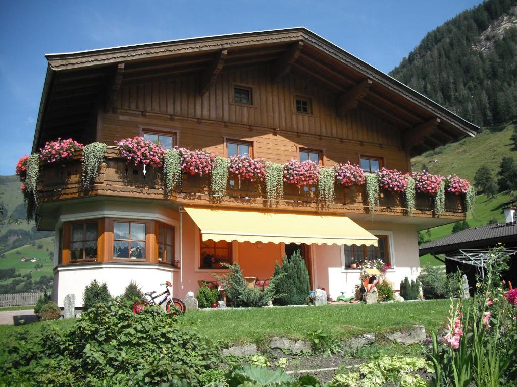 劳里斯Haus Manuela sonnige Aussicht mit Bergpanorama inkl NATIONALPARK CARD的一座房子,阳台上种着鲜花