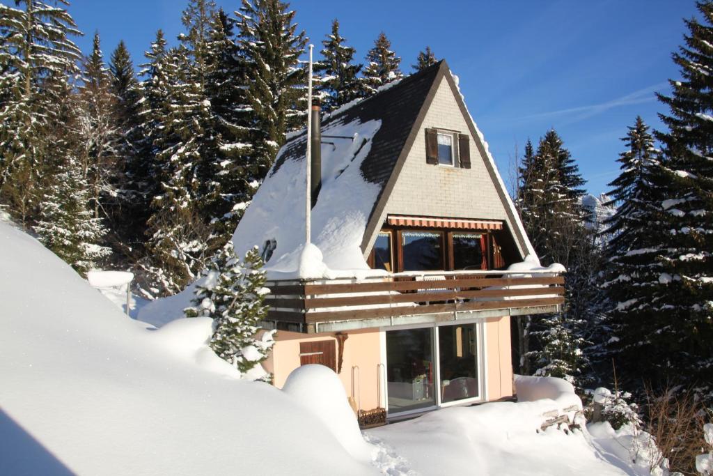 芙露姆赛山Haus Gimpel Flumserberg的一座被雪覆盖的房屋,有树木