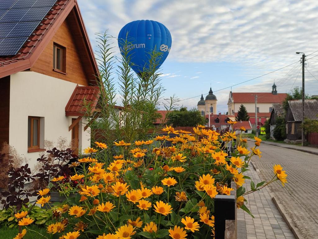 蒂科钦Przystanek Tykocin - domki gościnne w sercu Podlasia的蓝色气球飞过一片黄花
