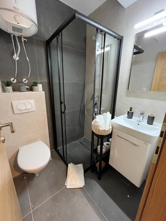 亚霍里纳Pinewood apartment Jahorina的带淋浴、卫生间和盥洗盆的浴室